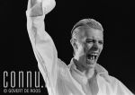 13-05-1976 David Bowie live in concert Ahoy Rotterdam Photo Govert de Roos/Connu

[keywords]Live concert[/keywords]
